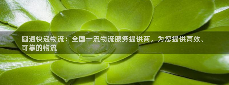 28圈登录不上咋回事：圆通快递物流：全国一流物流服务提供商，