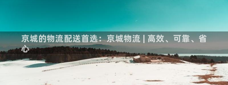 28圈加拿大最新版：京城的物流配送首