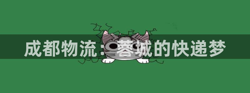 28圈充值不到账怎么回事