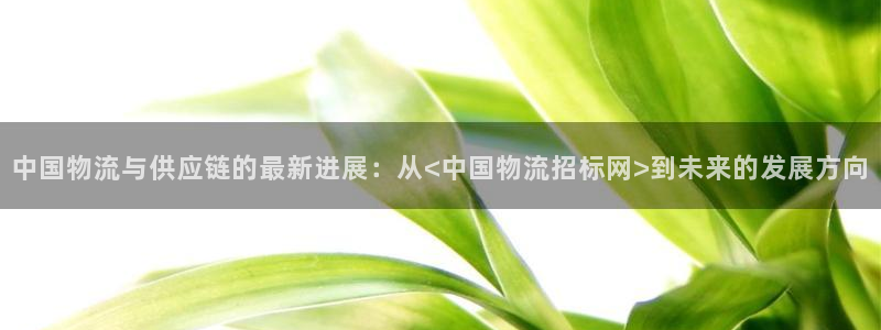 28圈注册条件