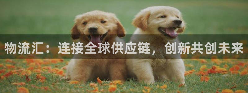 28圈官网平台下载