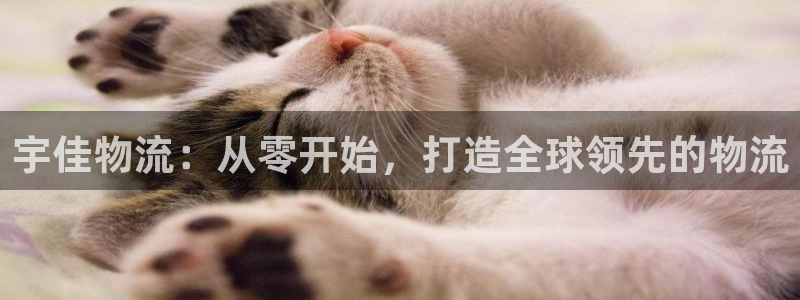 28圈口内径是多大