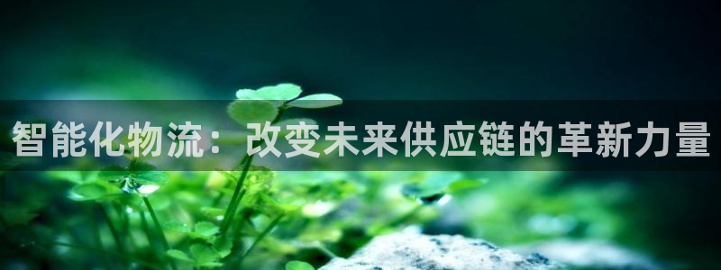 28圈注册网站链接：智能化物流：改变