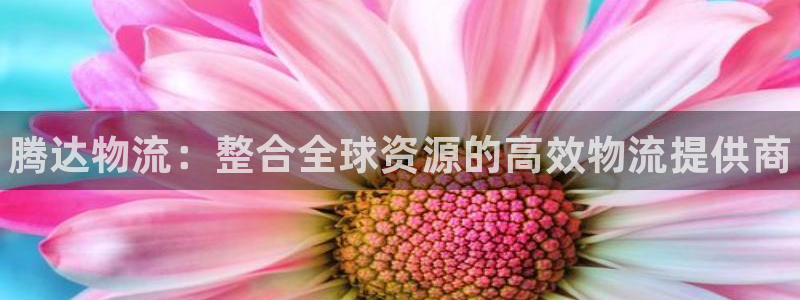 28圈官网多少：腾达物流：整合全球资