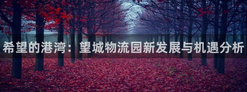 28圈加拿大技巧：希望的港湾：望城物