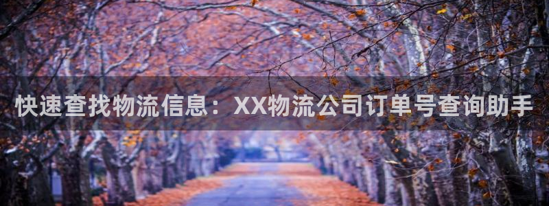 28圈注册网站链接是什么：快速查找物