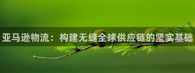 28圈账号注册:亚马逊物流:构建无缝