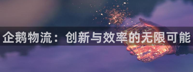 28圈注册网站多少钱:企鹅物流:创新