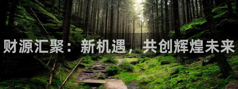 28圈机器人是什么软件：财源汇聚：新