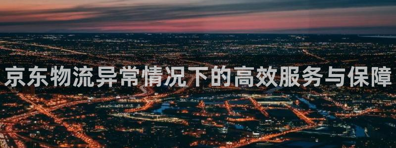 28圈怎么下载:京东物流异常情况下的