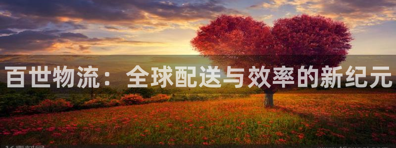 28圈二维码：百世物流：全球配送与效