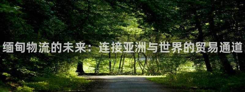 28圈注册号:缅甸物流的未来:连接亚