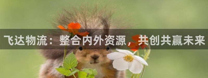 28圈开奖预测:飞达物流:整合内外资