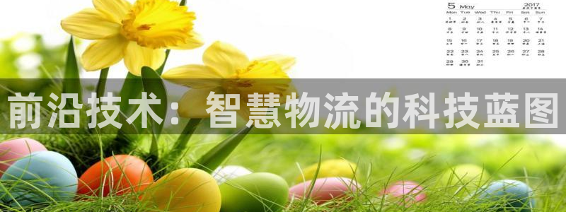28圈不给提现:前沿技术:智慧物流的