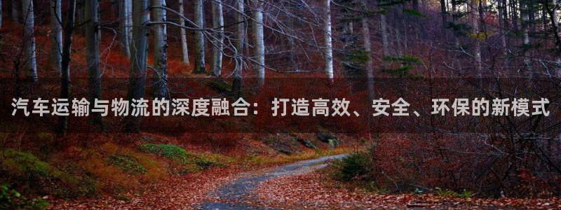 28圈登录网：汽车运输与物流的深度融合：打造高效、安全、环保