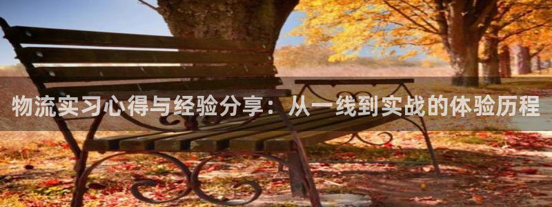 28圈充值金额随便：物流实习心得与经