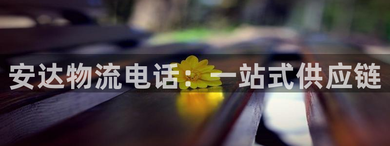 28圈模拟器在线使用：安达物流电话：一站式供应链