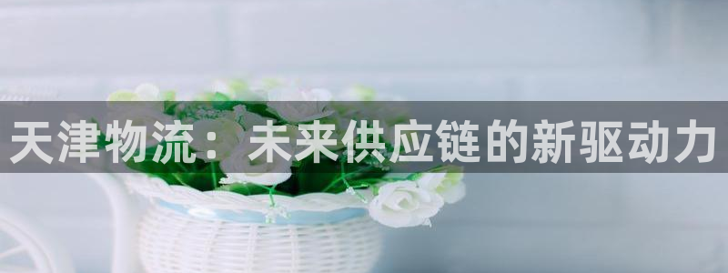 28圈客服一直不回消息怎么办