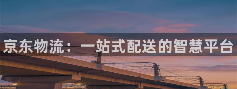 28圈玩法：京东物流：一站式配送的智慧平台