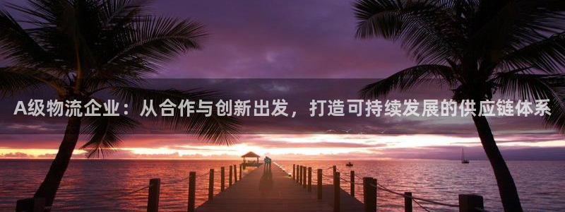 28圈激活码：A级物流企业：从合作与
