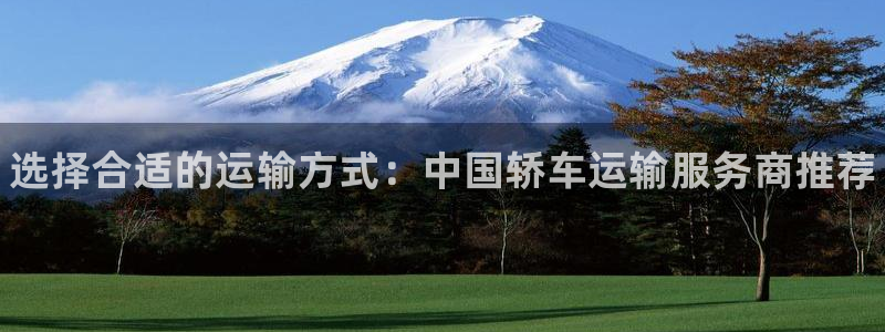 28圈p扣款什么意思