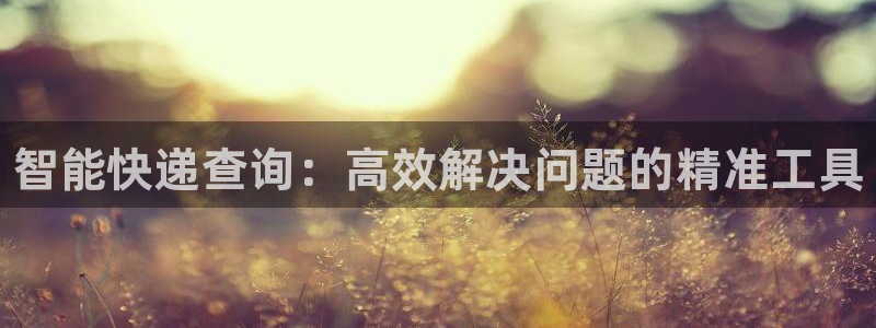 28圈加拿大开奖：智能快递查询：高效