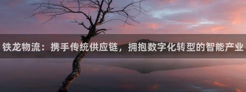 28圈现在狂杀：铁龙物流：携手传统供