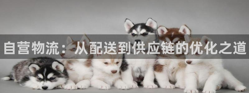 28圈ip被限制怎么解决