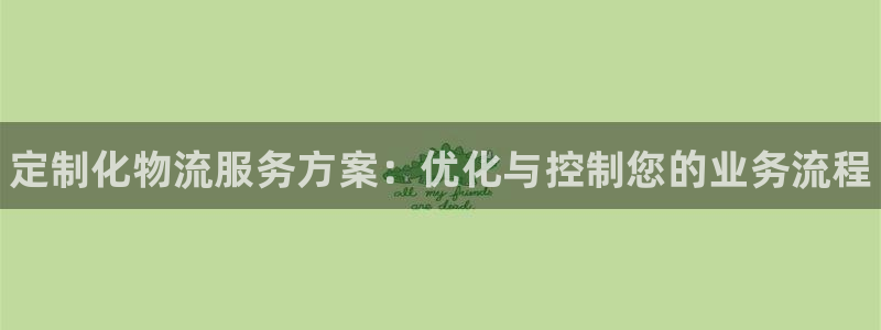 28圈麻将胡了在线试玩：定制化物流服务方案：优化与控制您的业