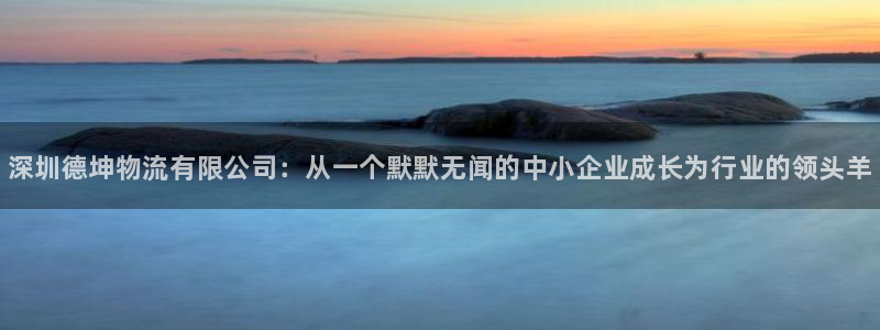 28圈预测加拿大:深圳德坤物流有限公