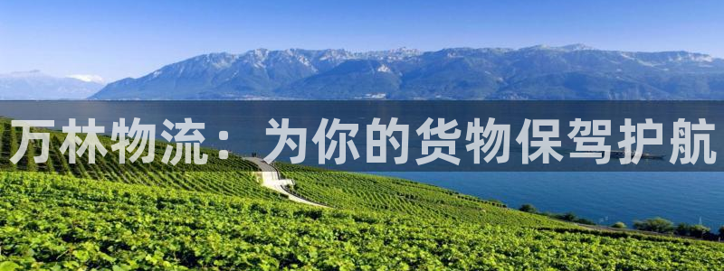 28圈初始资金密码在哪里改：万林物流