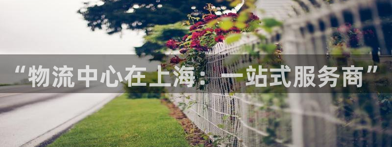 28圈怎么下载不了：“物流中心在上海