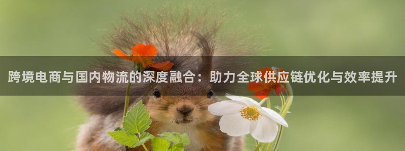 28圈防失联网址